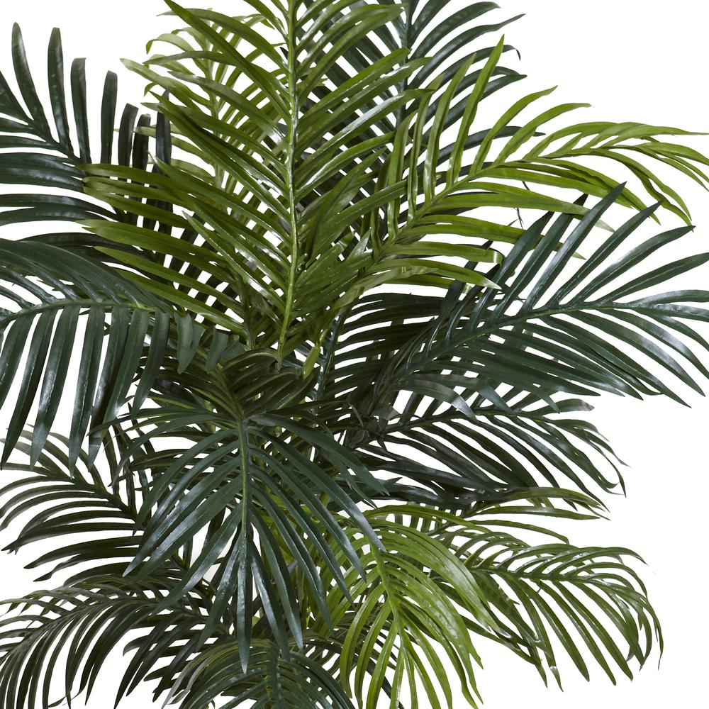 4.5ft. Golden Cane Palm with Decorative Container