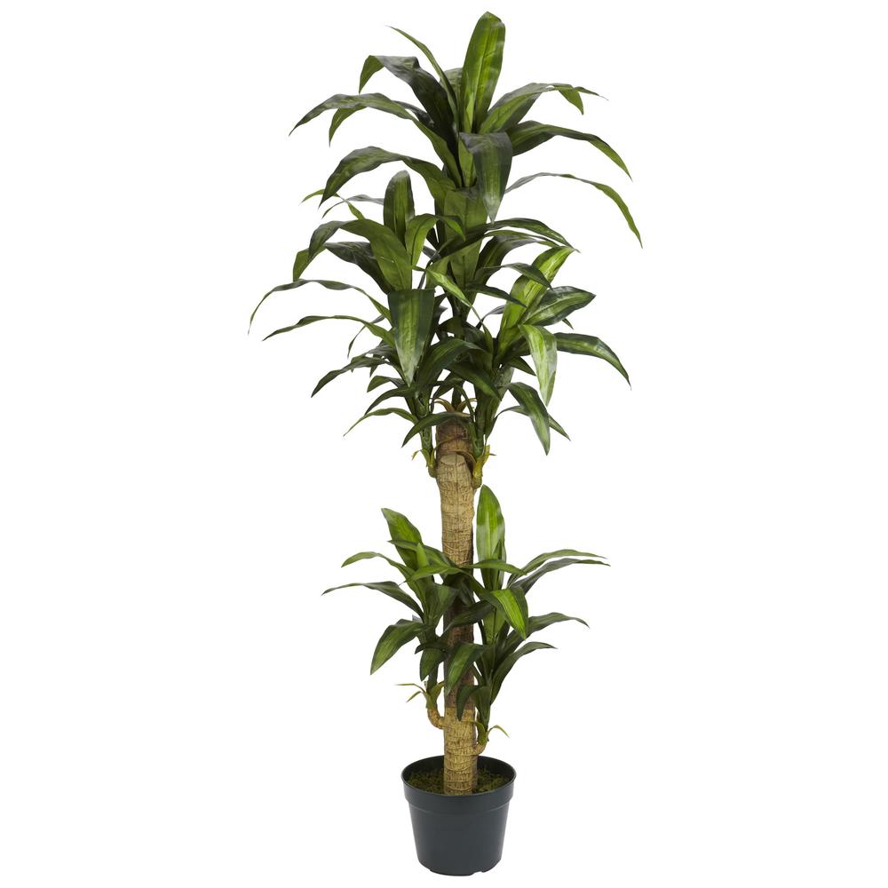 5ft. Yucca Silk Plant