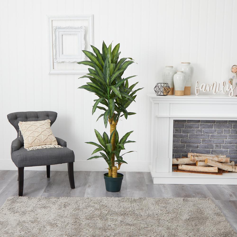 5ft. Yucca Silk Plant