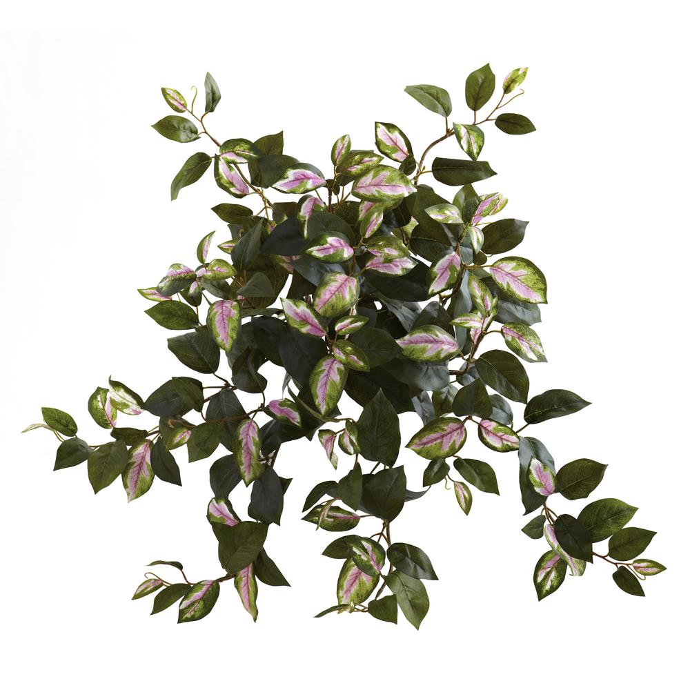 21in. Hoya Hanging Bush (Set of 4)