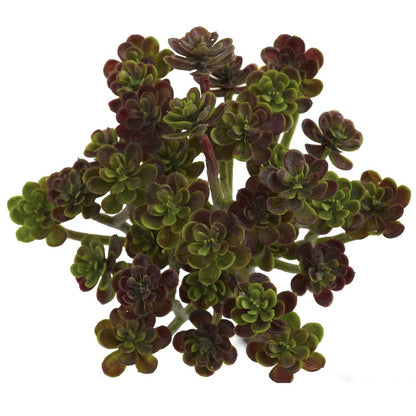 7in. Sedum Succulent Artificial Plant (Set of 8)