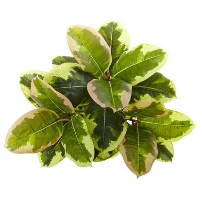 23in. Rubber Leaf Artificial Plant (Real Touch) (Set of 3)
