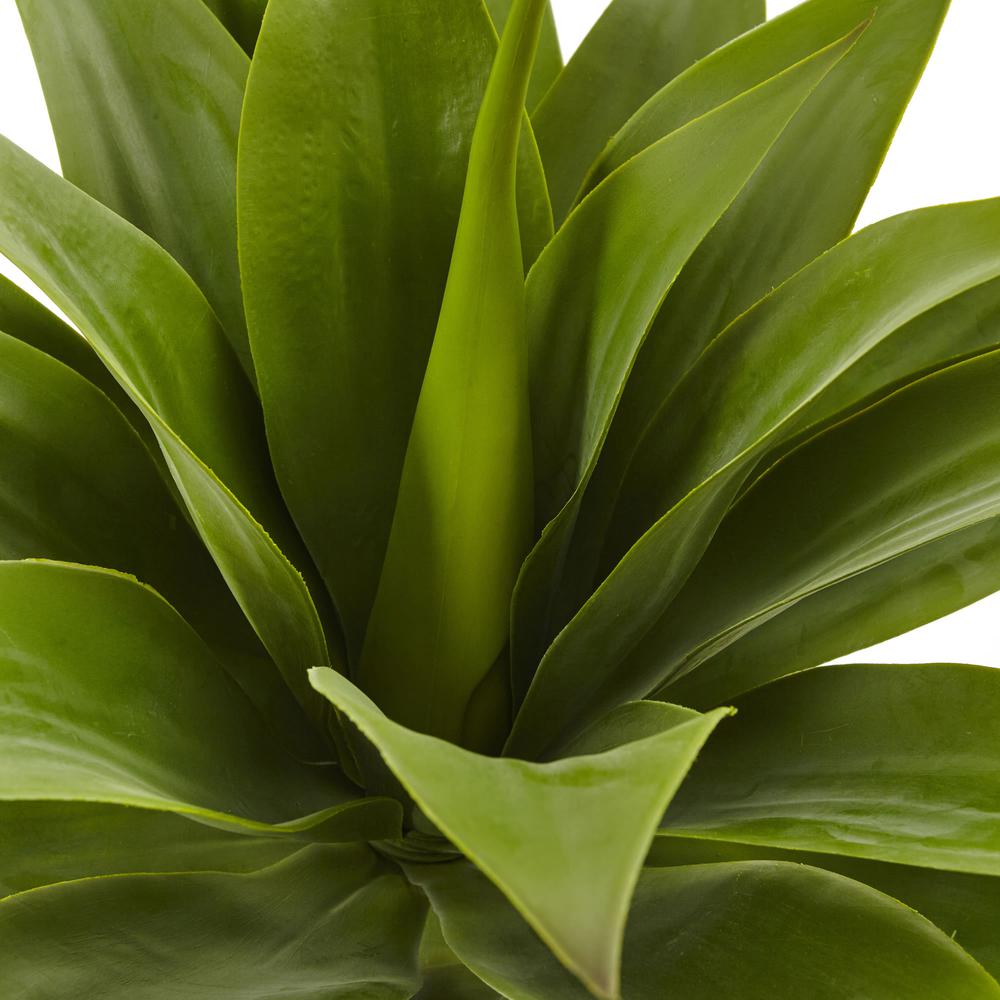 32in. Agave Plant with Stem