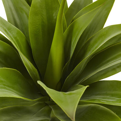 32in. Agave Plant with Stem
