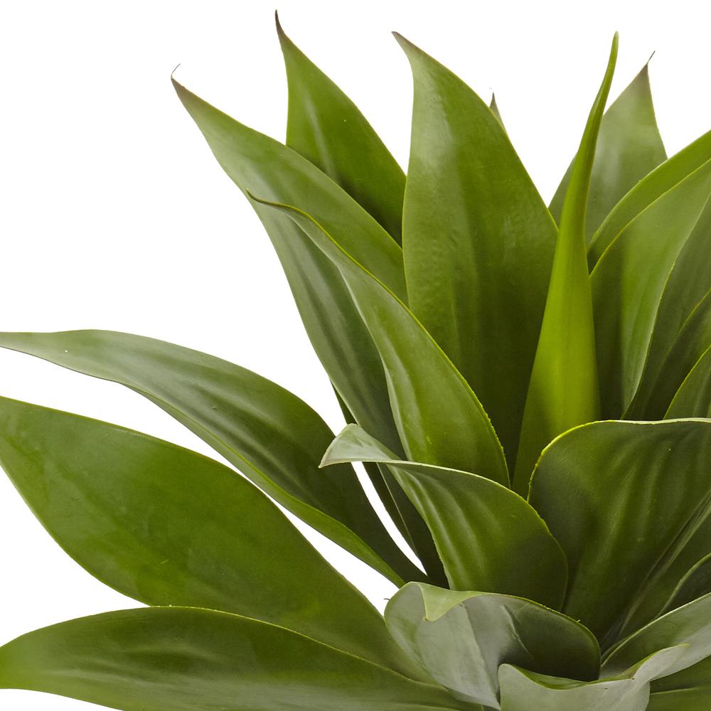 32in. Agave Plant with Stem