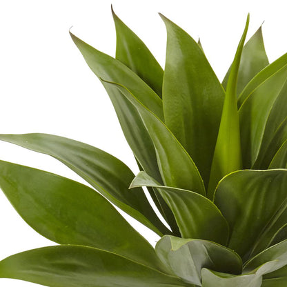 32in. Agave Plant with Stem