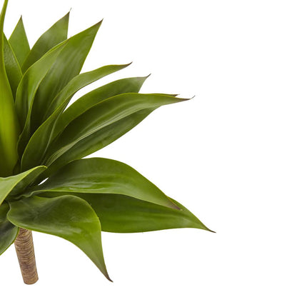 32in. Agave Plant with Stem