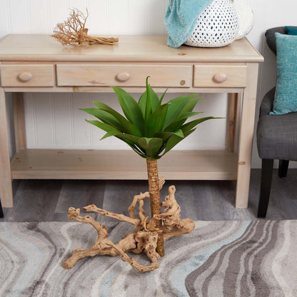 32in. Agave Plant with Stem