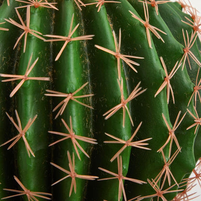 Cactus Artificial Plant