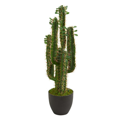 2.5ft. Cactus Artificial Plant