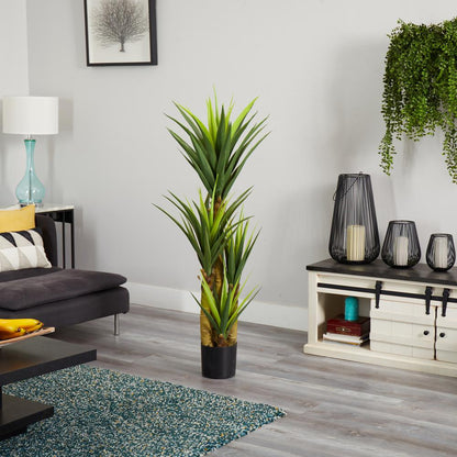 4.5ft. Dracaena Plant