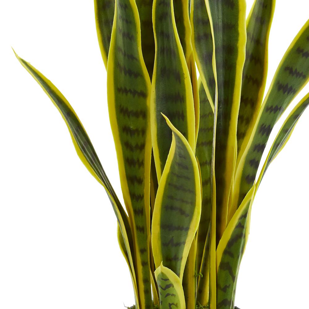 26in. Sansevieria Artificial Plant
