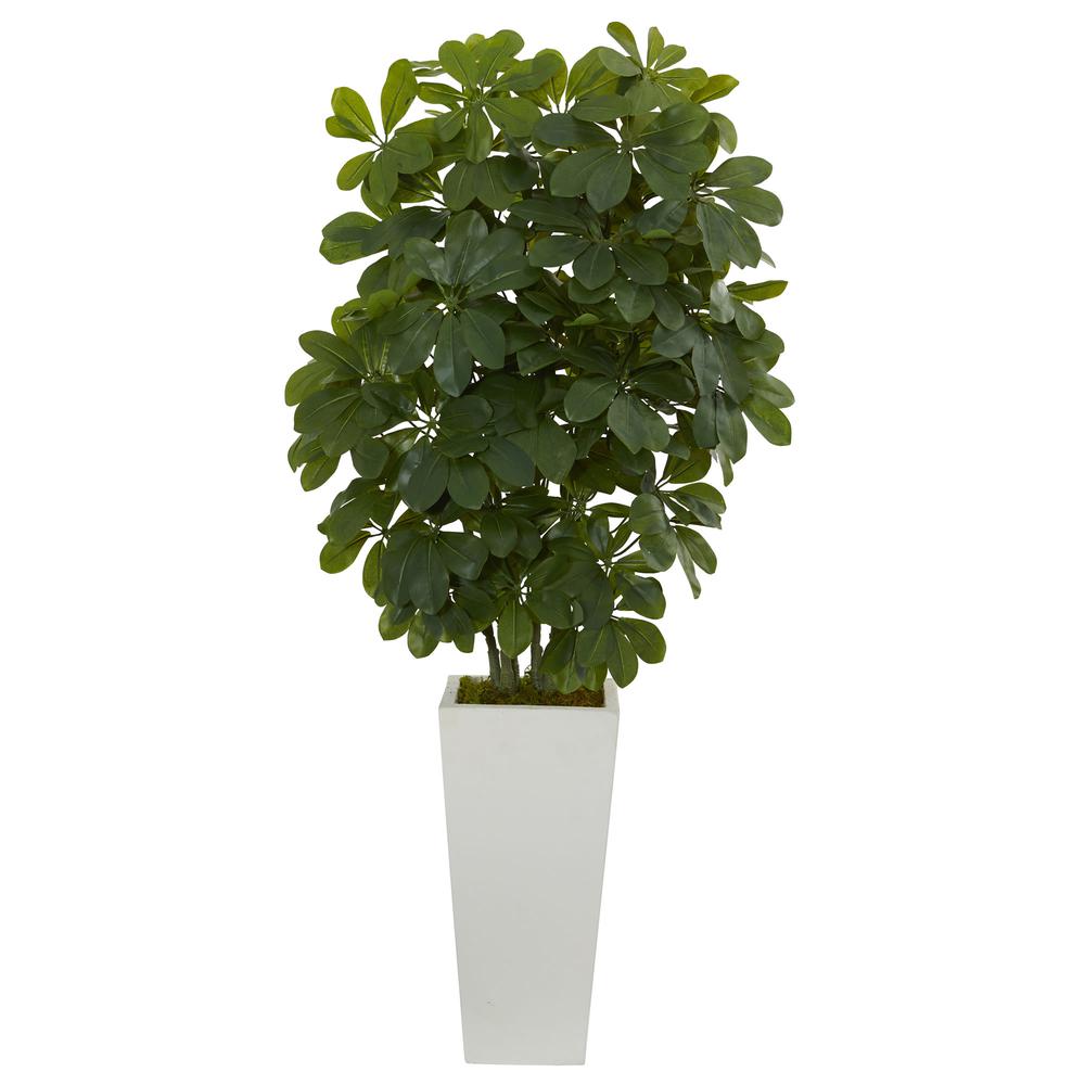 40in. Schefflera Artificial Plant in White Vase (Real Touch)