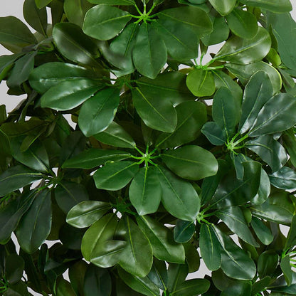 40in. Schefflera Artificial Plant in White Vase (Real Touch)