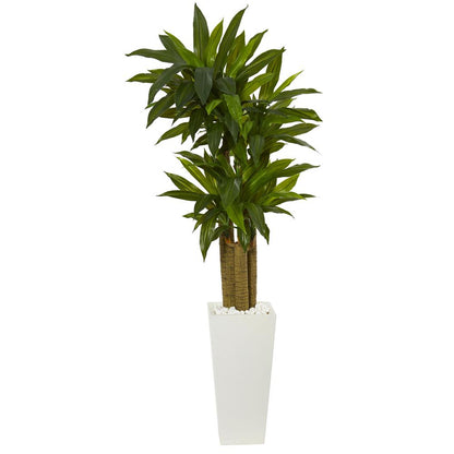 5ft. Cornstalk Dracaena Artificial Plant in White Tower Planter