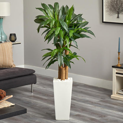 5ft. Cornstalk Dracaena Artificial Plant in White Tower Planter