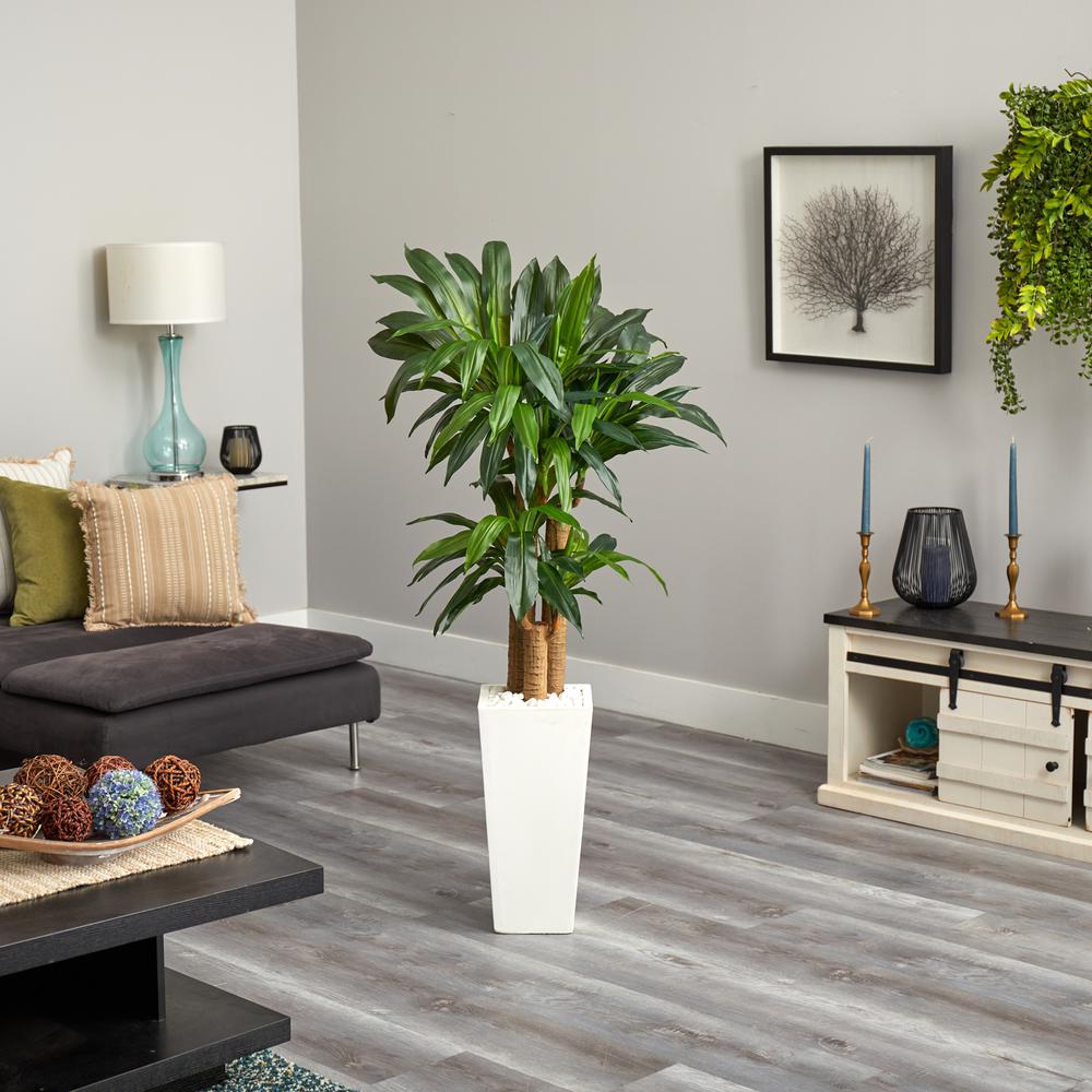 5ft. Cornstalk Dracaena Artificial Plant in White Tower Planter