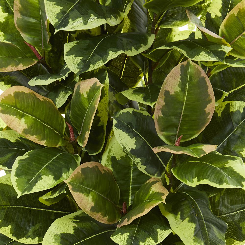 Variegated Rubber Leaf Artificial Plant in White Tower Vase