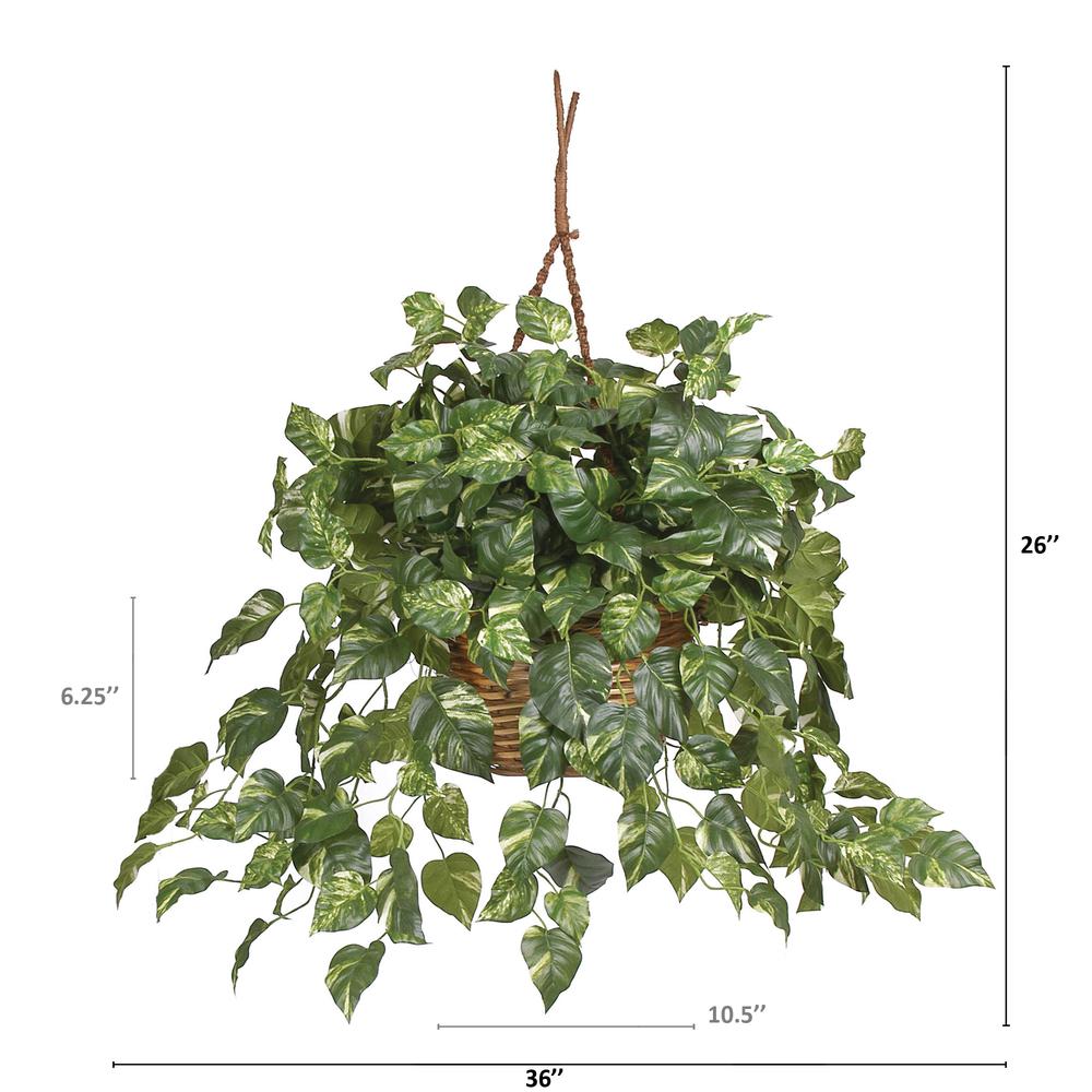 Pothos Hanging Basket Silk Plant