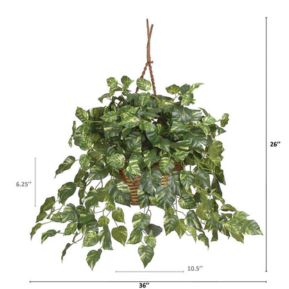 Pothos Hanging Basket Silk Plant