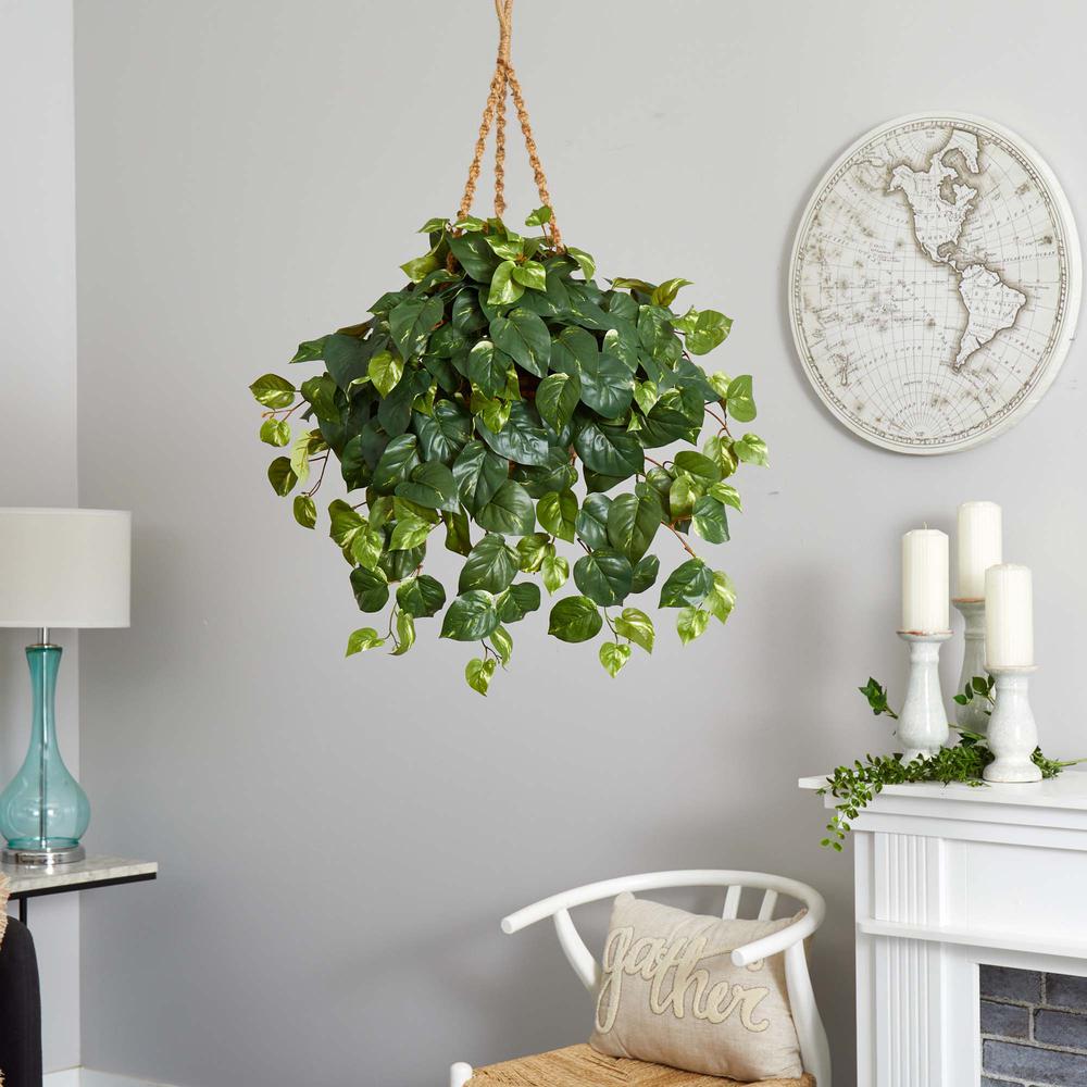 Pothos Hanging Basket Silk Plant