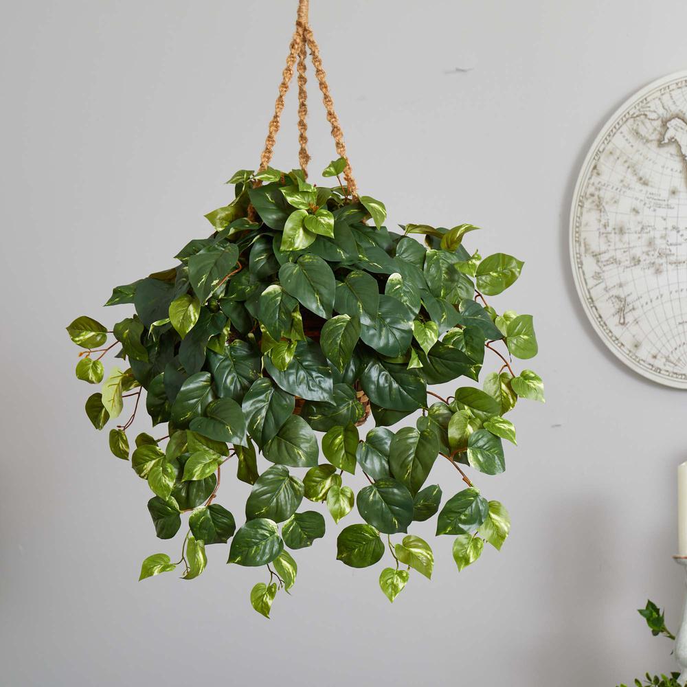 Pothos Hanging Basket Silk Plant