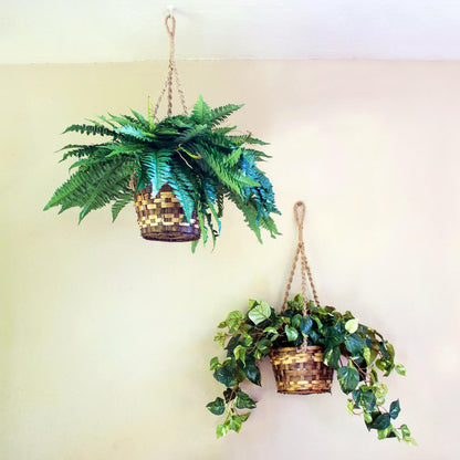 Pothos Hanging Basket Silk Plant