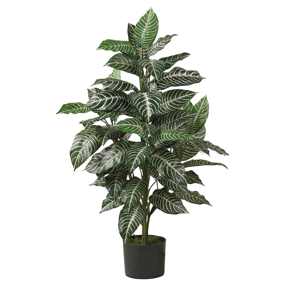 3ft. Zebra Silk Plant