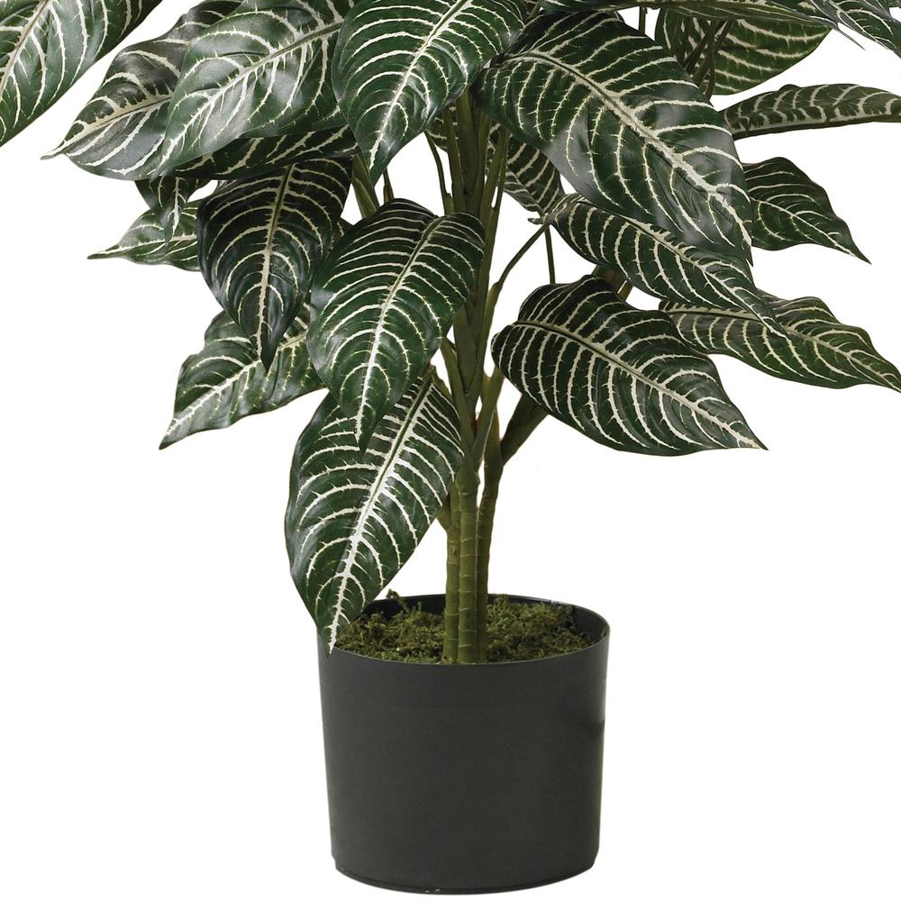 3ft. Zebra Silk Plant