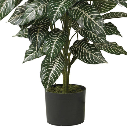 3ft. Zebra Silk Plant