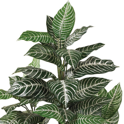 3ft. Zebra Silk Plant