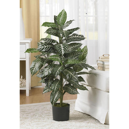 3ft. Zebra Silk Plant
