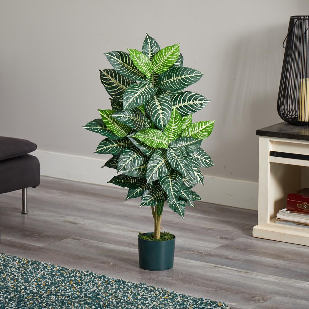 3ft. Zebra Silk Plant