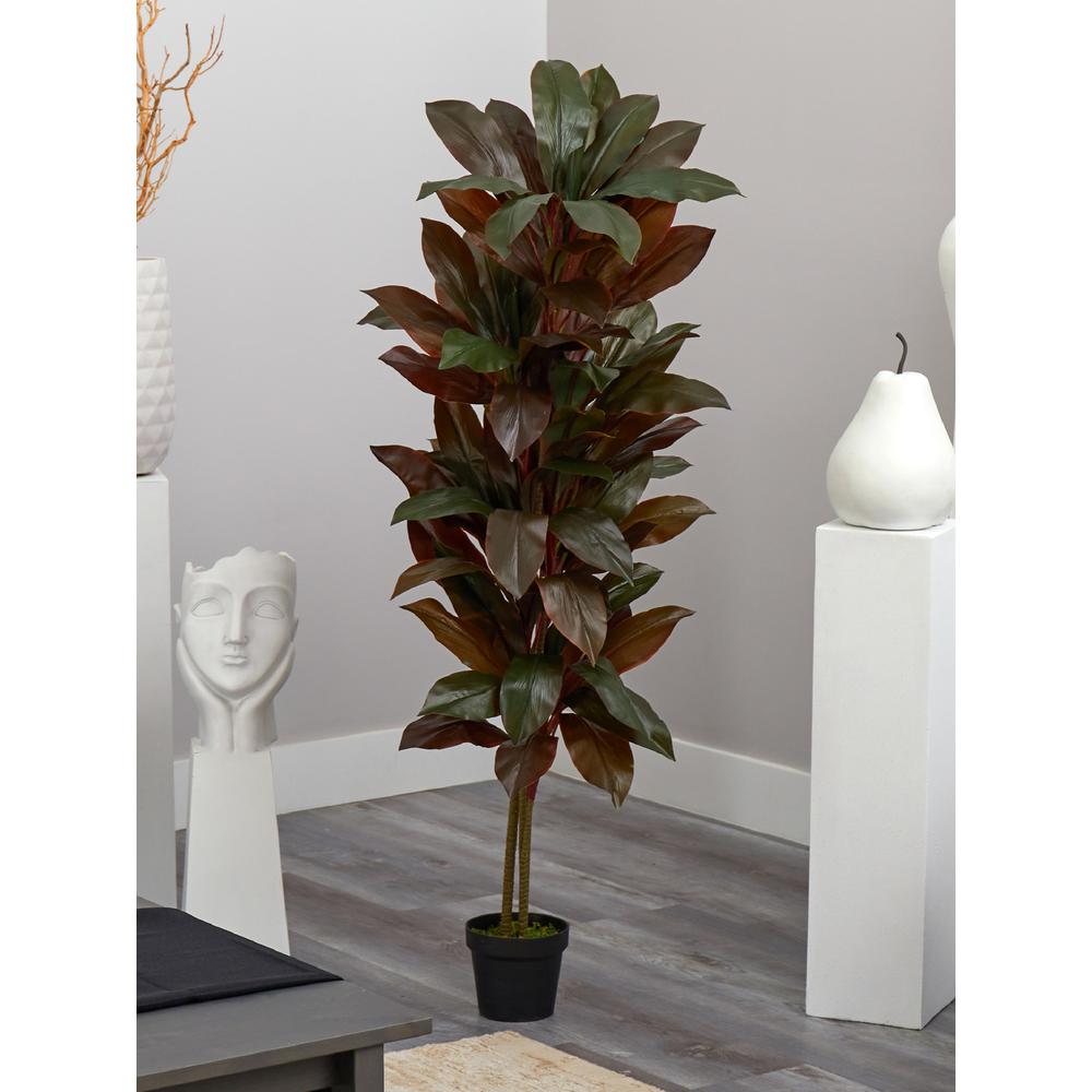 5ft. Cordyline Silk Plant (Real Touch)