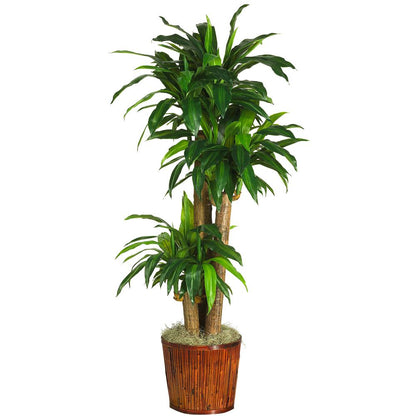 Corn Stalk Dracaena Silk Plant (Real Touch)