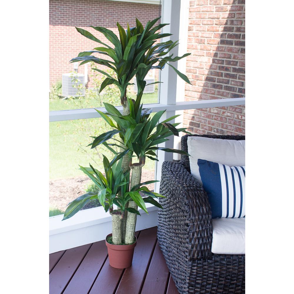 Corn Stalk Dracaena Silk Plant (Real Touch)
