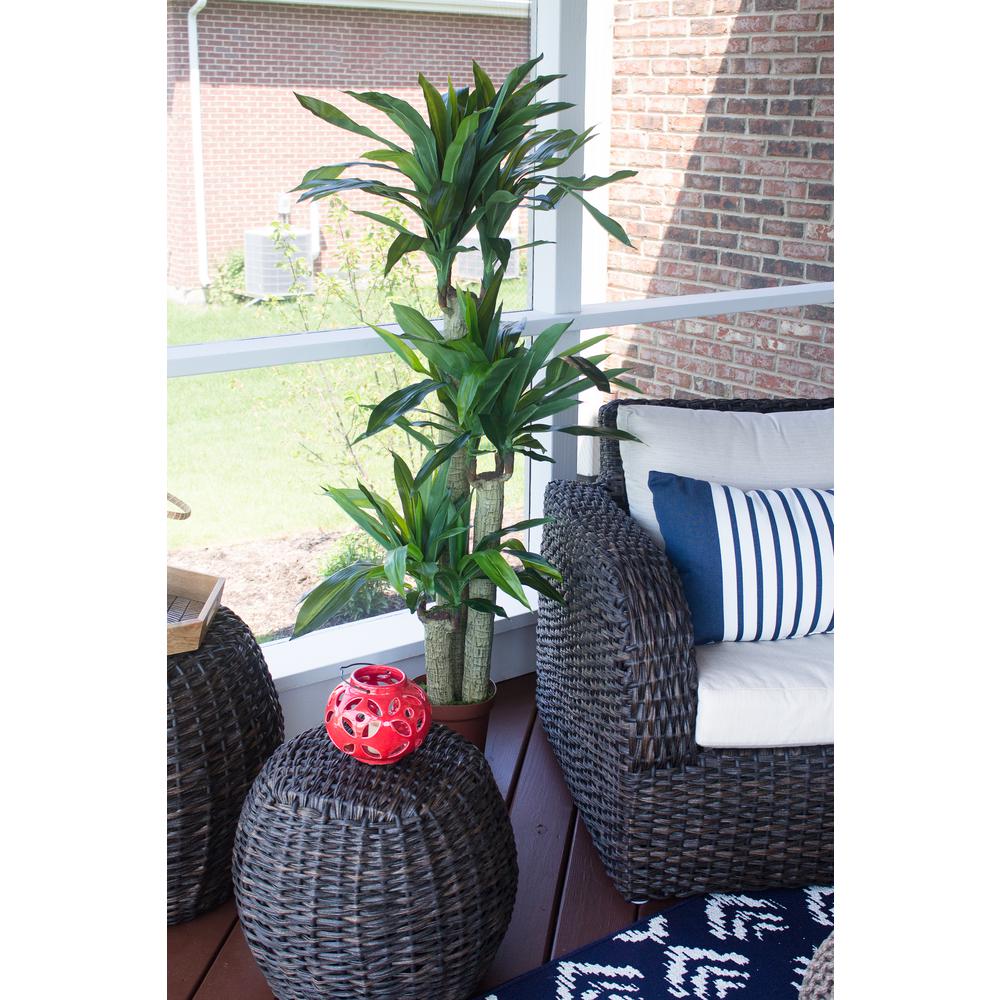 Corn Stalk Dracaena Silk Plant (Real Touch)