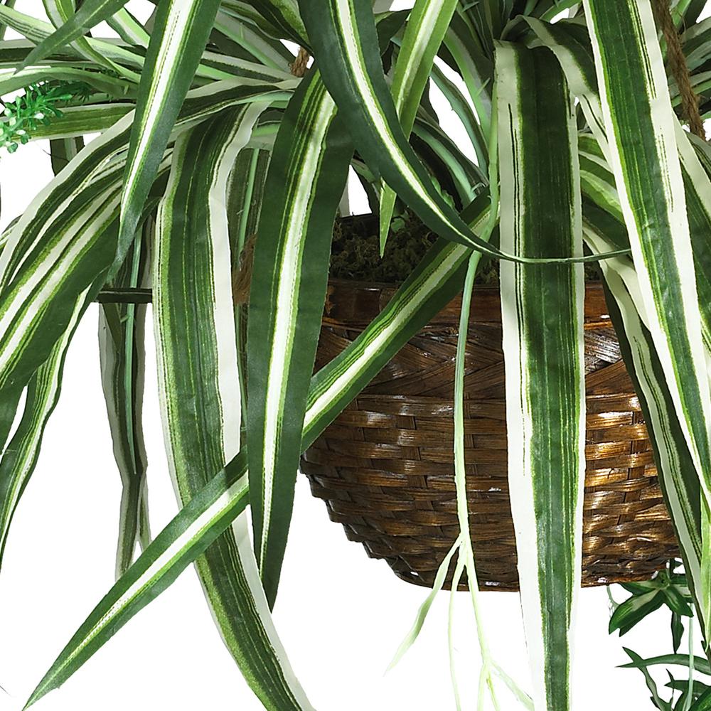 Spider Hanging Basket Silk Plant