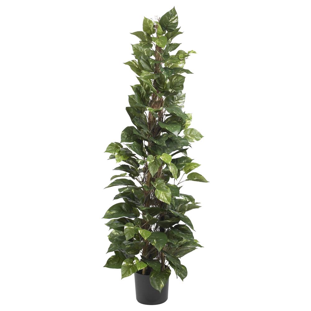63in. Pothos Climbing Silk Plant