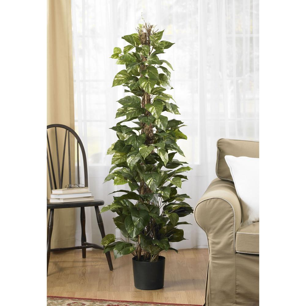 63in. Pothos Climbing Silk Plant