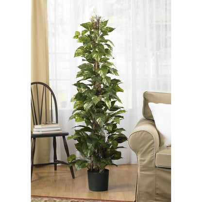 63in. Pothos Climbing Silk Plant