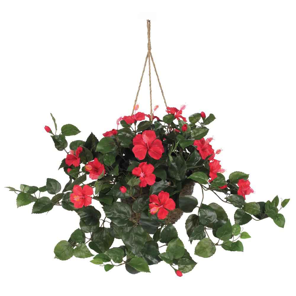 Hibiscus Hanging Basket
