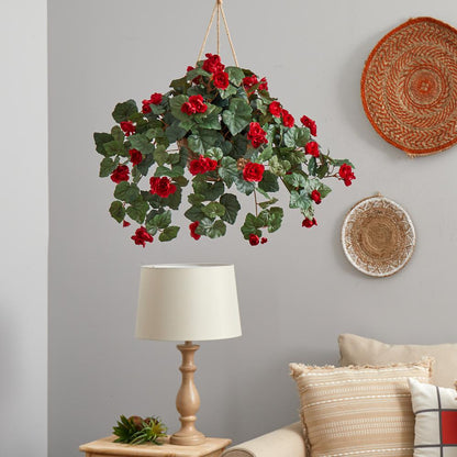 Begonia Hanging Basket