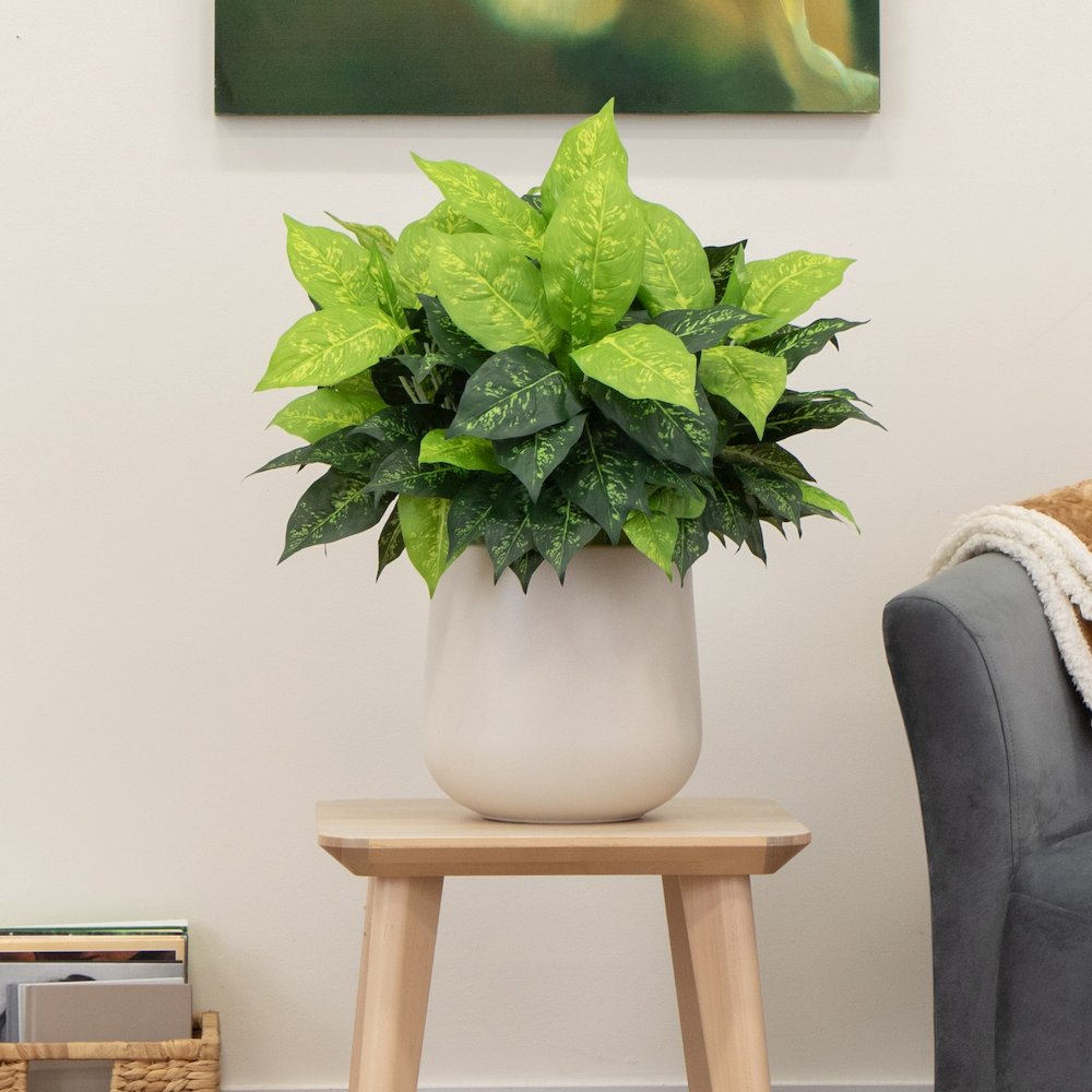 19in. Artificial Dieffenbachia Plant - Set of 6
