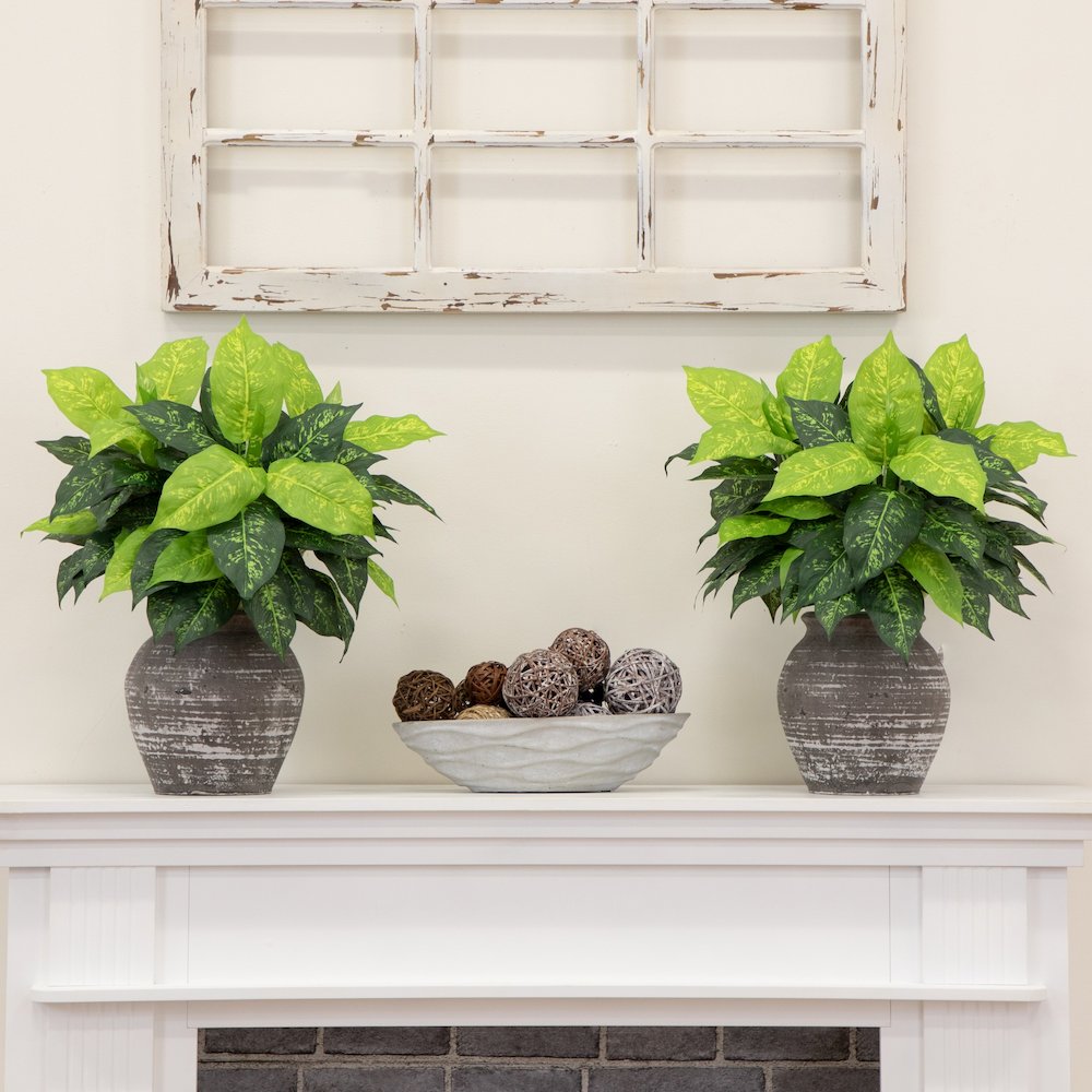 19in. Artificial Dieffenbachia Plant - Set of 6