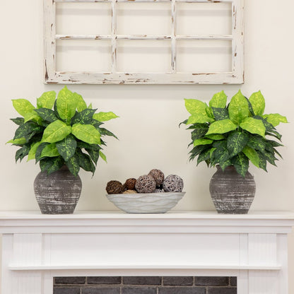 19in. Artificial Dieffenbachia Plant - Set of 6