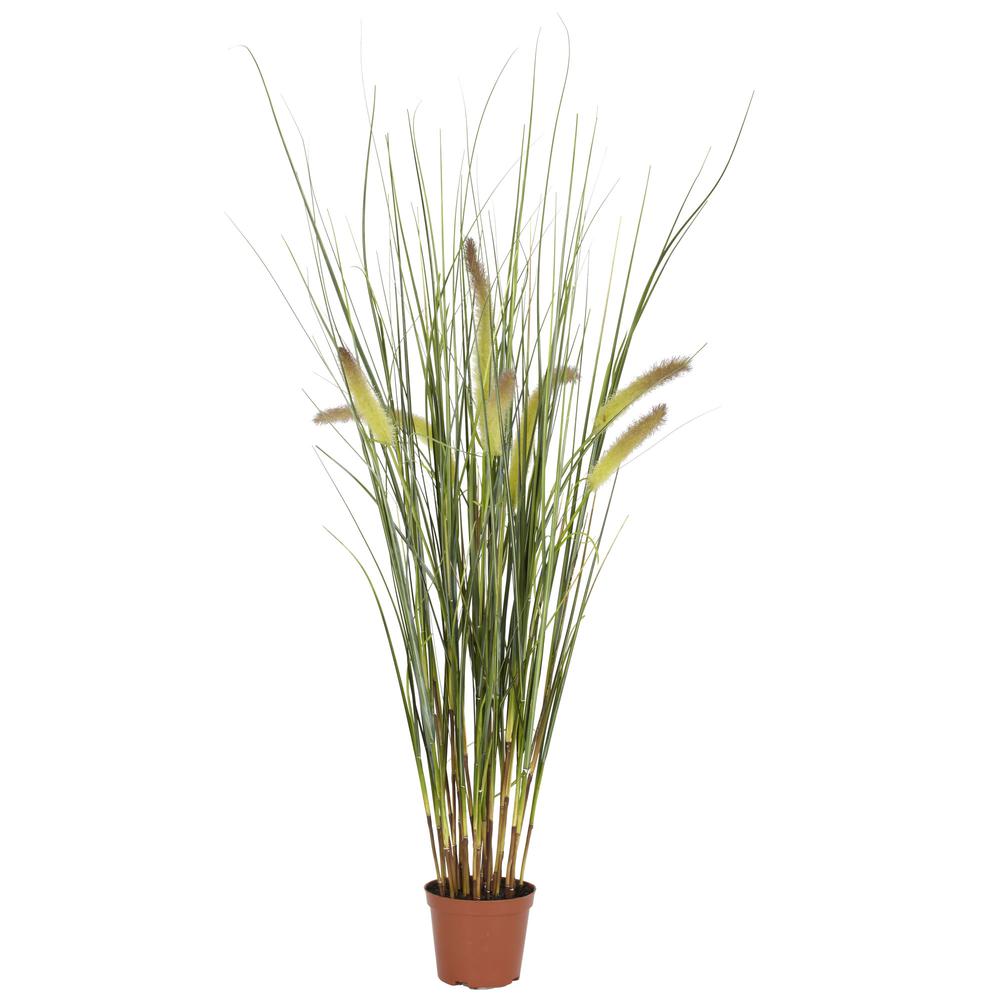 2.5ft. Grass Plant