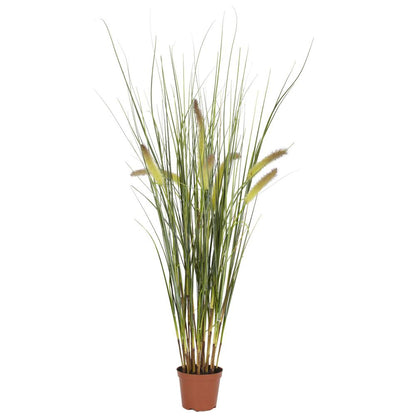 2.5ft. Grass Plant