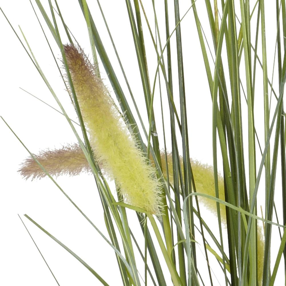 2.5ft. Grass Plant