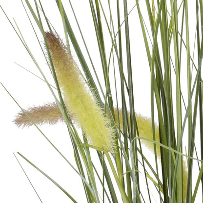 2.5ft. Grass Plant
